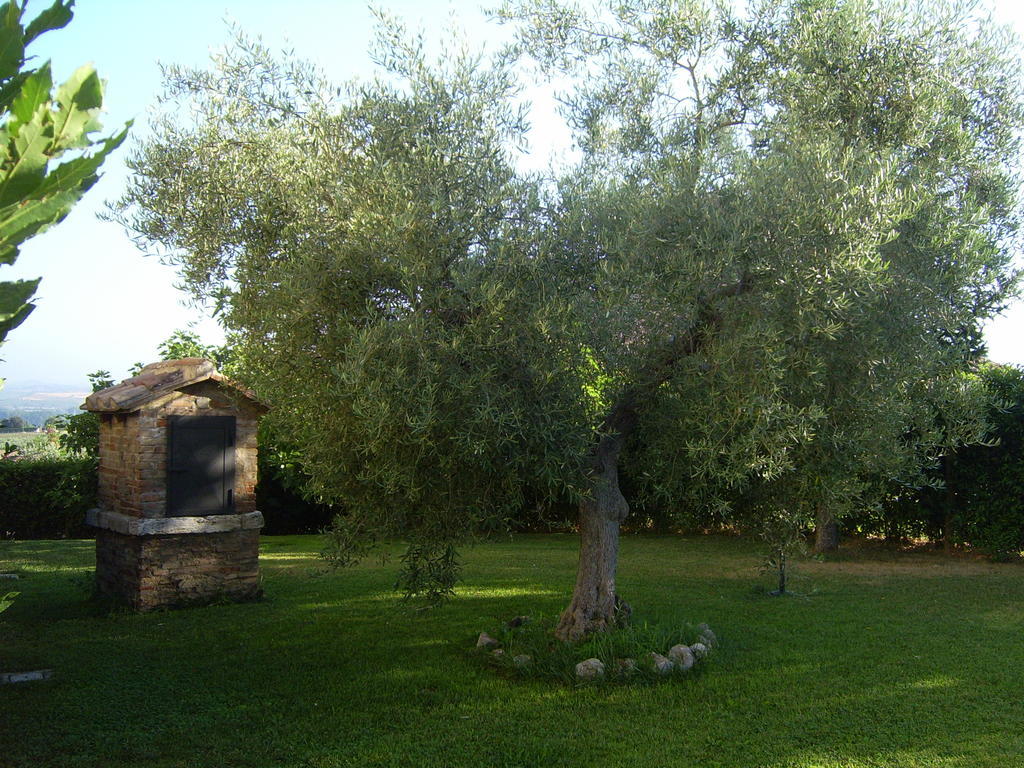 Agriturismo Regno Verde Narni Eksteriør bilde