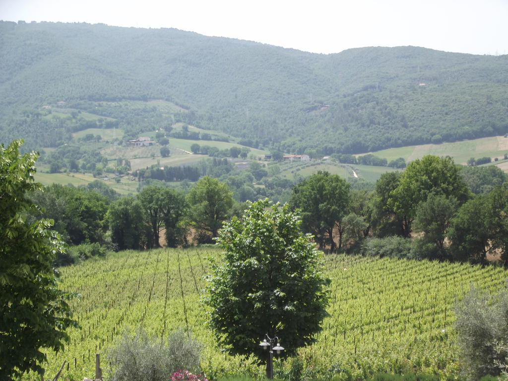 Agriturismo Regno Verde Narni Eksteriør bilde