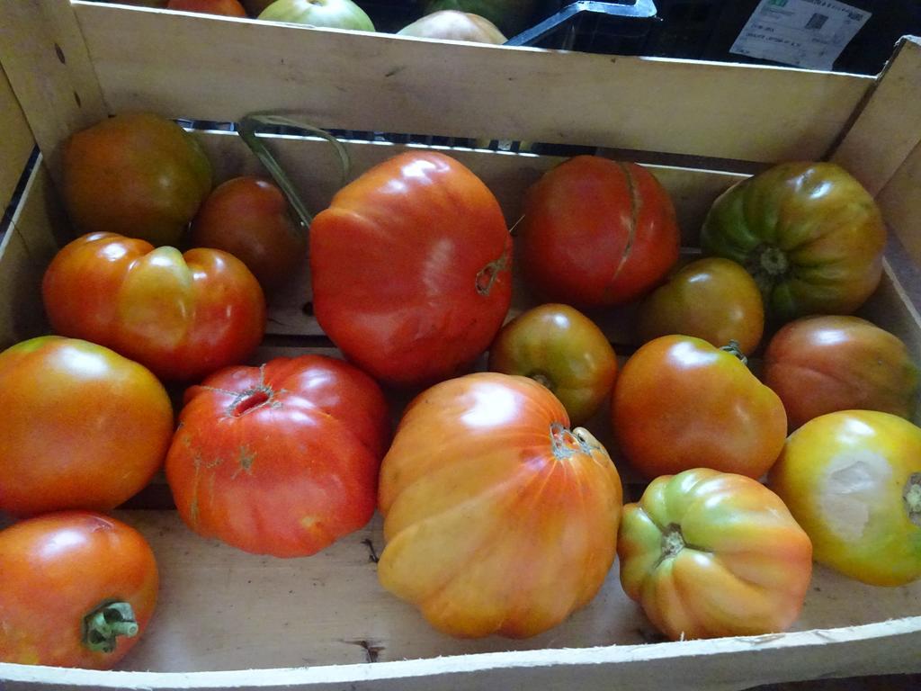 Agriturismo Regno Verde Narni Eksteriør bilde